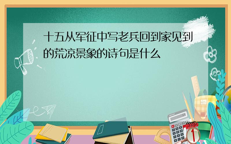 十五从军征中写老兵回到家见到的荒凉景象的诗句是什么