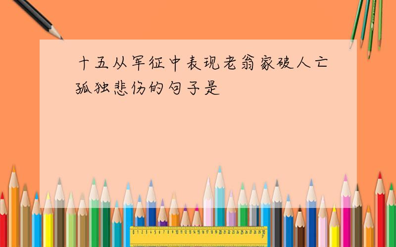 十五从军征中表现老翁家破人亡孤独悲伤的句子是