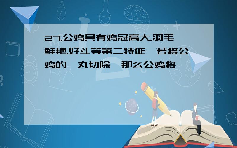 27.公鸡具有鸡冠高大.羽毛鲜艳.好斗等第二特征,若将公鸡的睾丸切除,那么公鸡将