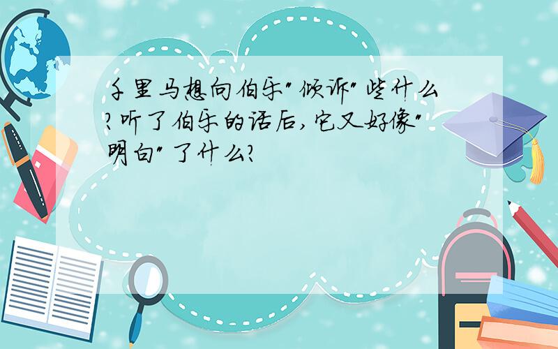 千里马想向伯乐"倾诉"些什么?听了伯乐的话后,它又好像"明白"了什么?