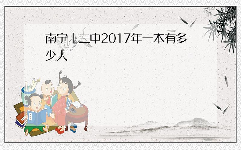 南宁十三中2017年一本有多少人