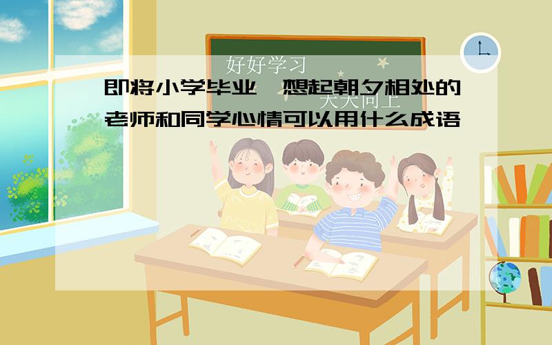 即将小学毕业,想起朝夕相处的老师和同学心情可以用什么成语