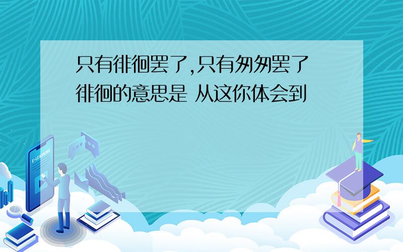 只有徘徊罢了,只有匆匆罢了 徘徊的意思是 从这你体会到