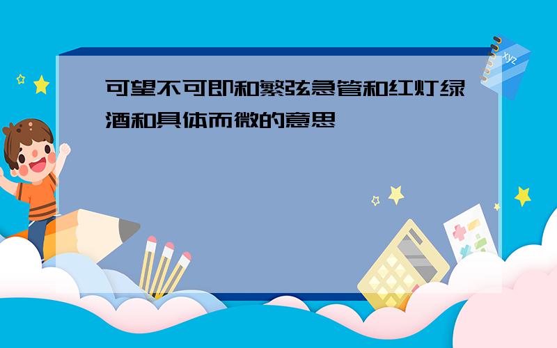 可望不可即和繁弦急管和红灯绿酒和具体而微的意思