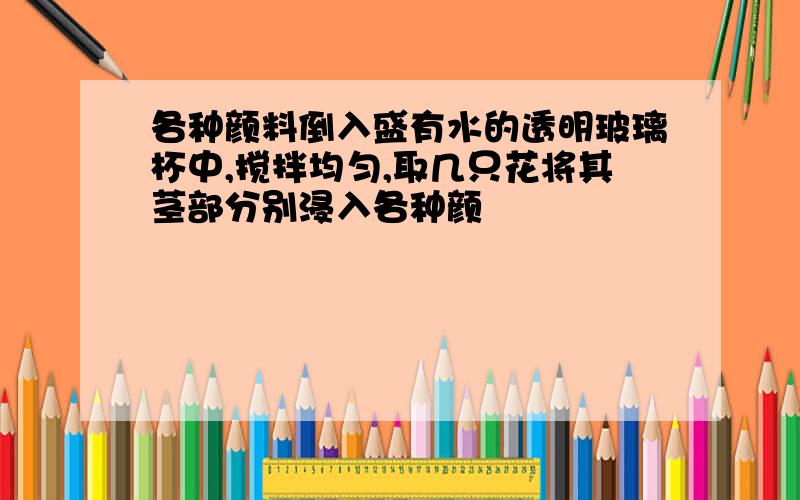 各种颜料倒入盛有水的透明玻璃杯中,搅拌均匀,取几只花将其茎部分别浸入各种颜