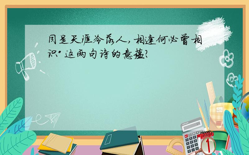 同是天涯冷落人,相逢何必曾相识"这两句诗的意蕴?