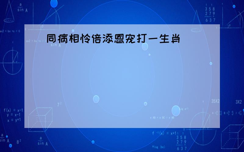 同病相怜倍添恩宠打一生肖