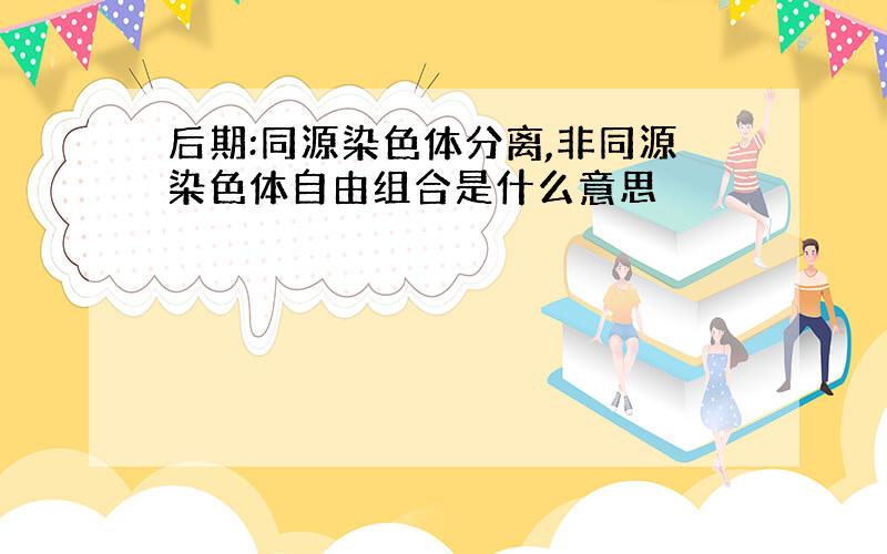 后期:同源染色体分离,非同源染色体自由组合是什么意思