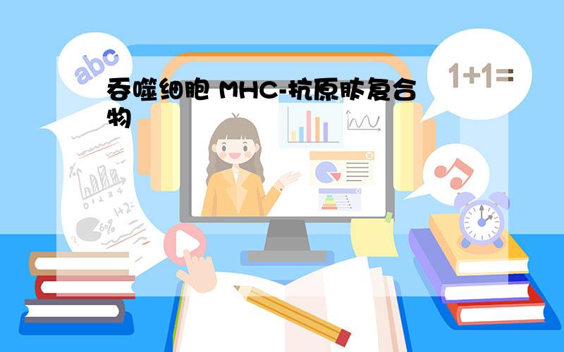 吞噬细胞 MHC-抗原肽复合物