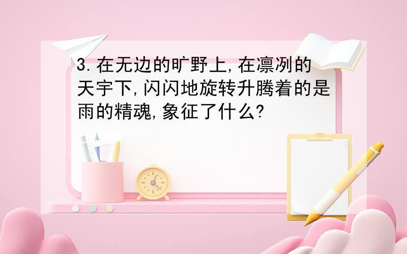 3.在无边的旷野上,在凛冽的天宇下,闪闪地旋转升腾着的是雨的精魂,象征了什么?