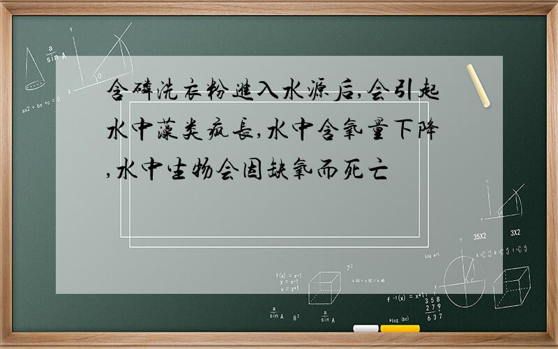 含磷洗衣粉进入水源后,会引起水中藻类疯长,水中含氧量下降,水中生物会因缺氧而死亡