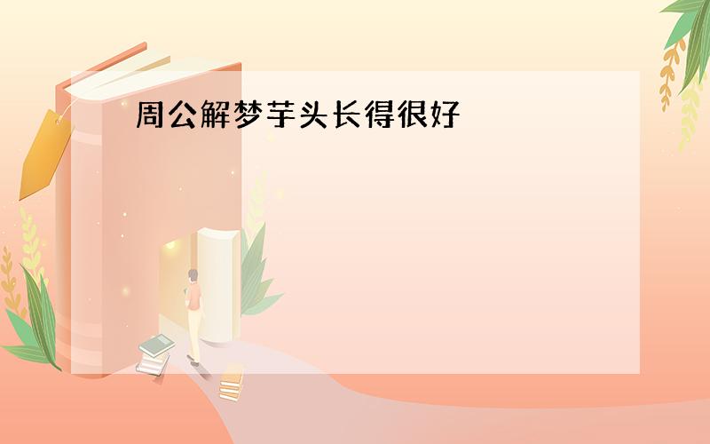 周公解梦芋头长得很好