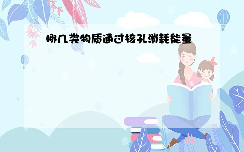 哪几类物质通过核孔消耗能量