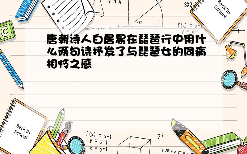 唐朝诗人白居易在琵琶行中用什么两句诗抒发了与琵琶女的同病相怜之感