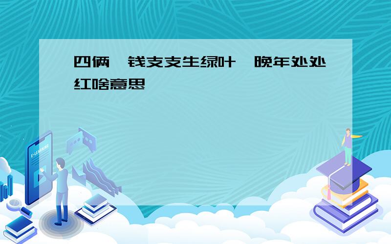 四俩一钱支支生绿叶,晚年处处红啥意思