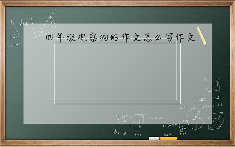 四年级观察狗的作文怎么写作文