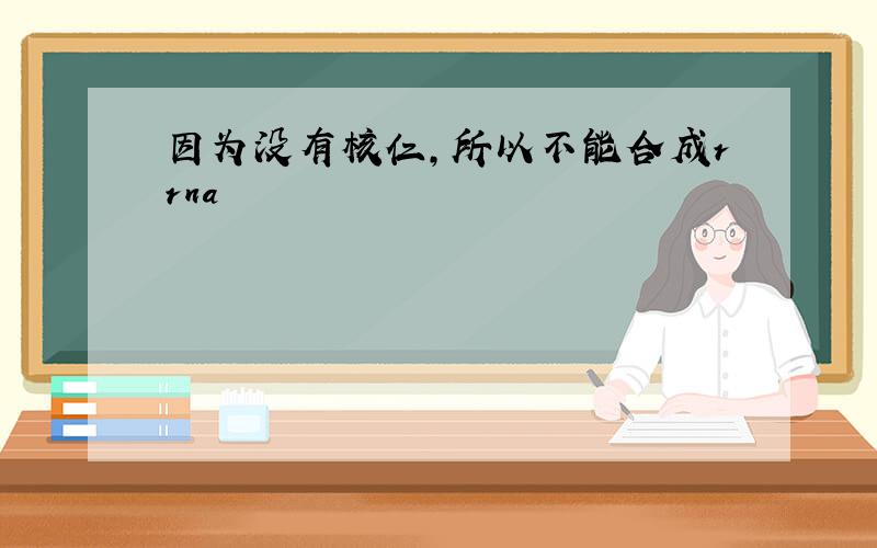 因为没有核仁,所以不能合成rrna