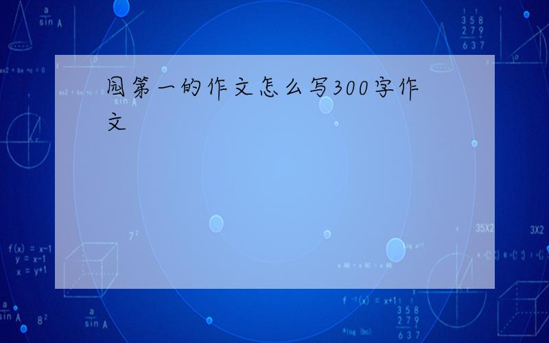 园第一的作文怎么写300字作文