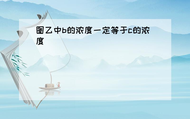 图乙中b的浓度一定等于c的浓度