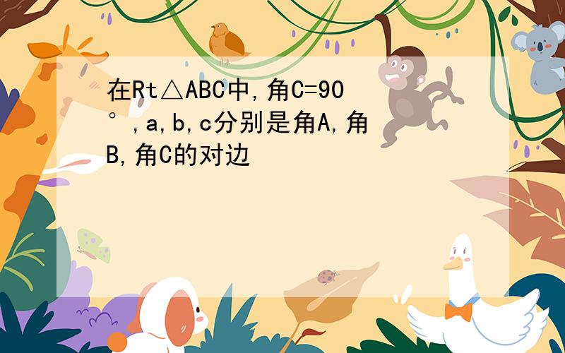 在Rt△ABC中,角C=90°,a,b,c分别是角A,角B,角C的对边