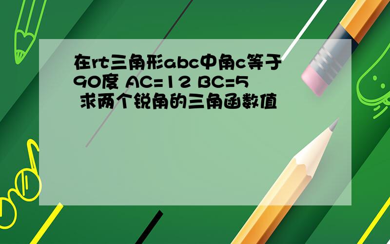 在rt三角形abc中角c等于90度 AC=12 BC=5 求两个锐角的三角函数值