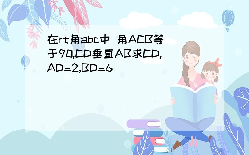 在rt角abc中 角ACB等于90,CD垂直AB求CD,AD=2,BD=6