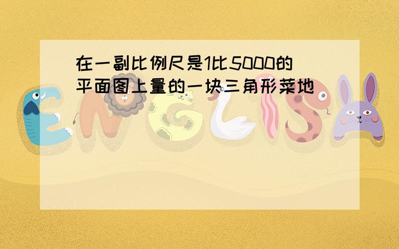 在一副比例尺是1比5000的平面图上量的一块三角形菜地