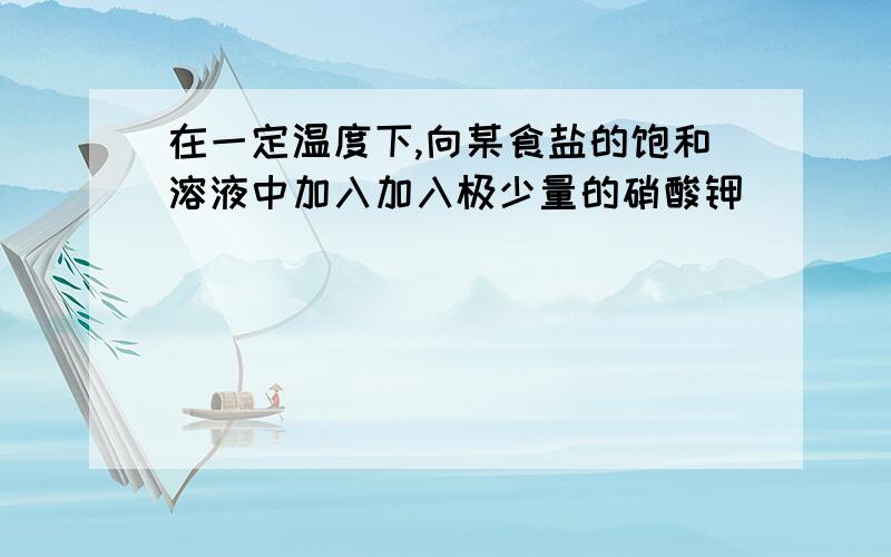 在一定温度下,向某食盐的饱和溶液中加入加入极少量的硝酸钾