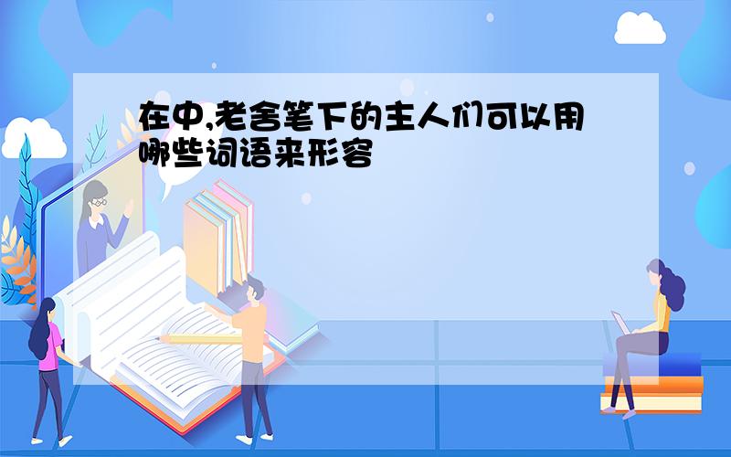 在中,老舍笔下的主人们可以用哪些词语来形容