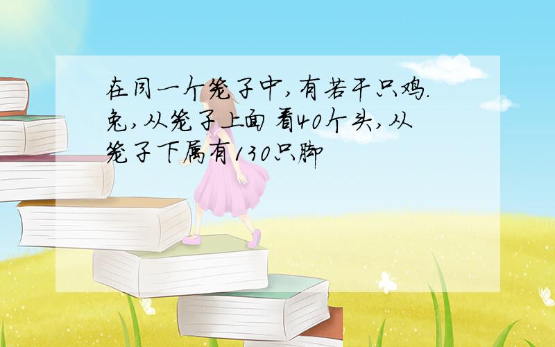 在同一个笼子中,有若干只鸡.兔,从笼子上面看40个头,从笼子下属有130只脚