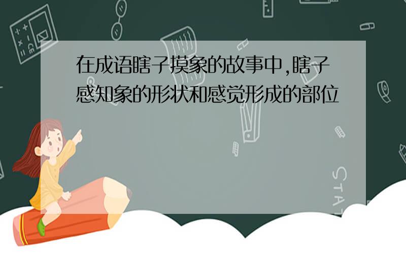 在成语瞎子摸象的故事中,瞎子感知象的形状和感觉形成的部位