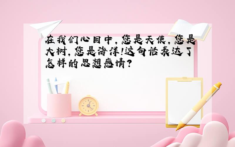 在我们心目中,您是天使,您是大树,您是海洋!这句话表达了怎样的思想感情?