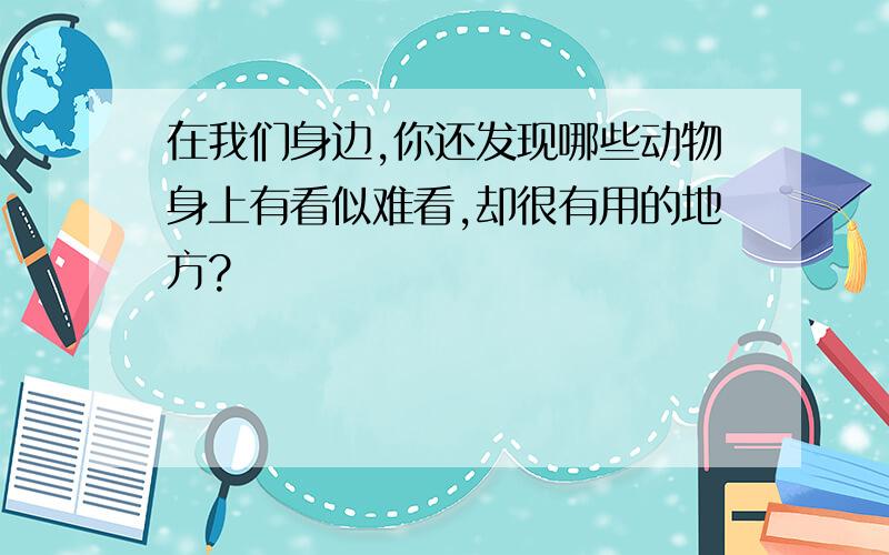 在我们身边,你还发现哪些动物身上有看似难看,却很有用的地方?