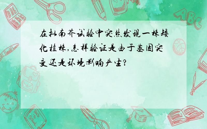 在拟南芥试验中突然发现一株矮化植株,怎样验证是由于基因突变还是环境影响产生?