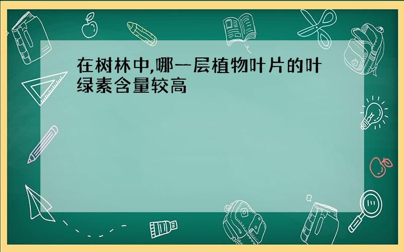 在树林中,哪一层植物叶片的叶绿素含量较高