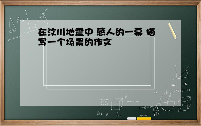 在汶川地震中 感人的一幕 描写一个场景的作文