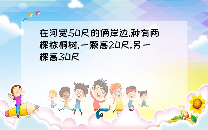 在河宽50尺的俩岸边,种有两棵棕桐树,一颗高20尺,另一棵高30尺