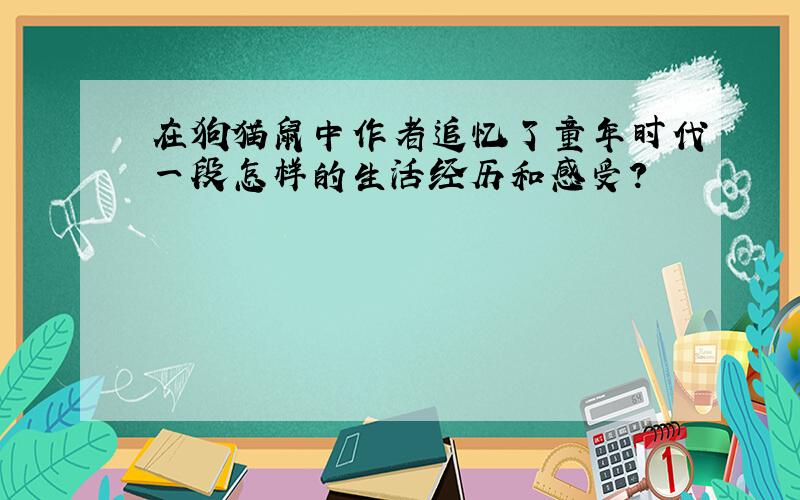 在狗猫鼠中作者追忆了童年时代一段怎样的生活经历和感受?