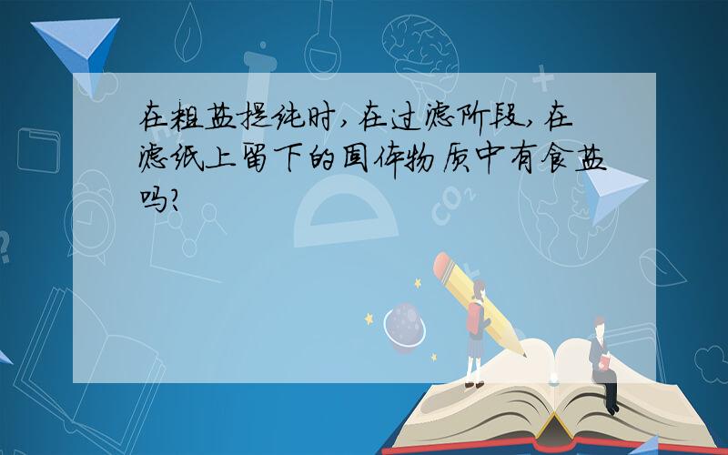 在粗盐提纯时,在过滤阶段,在滤纸上留下的固体物质中有食盐吗?