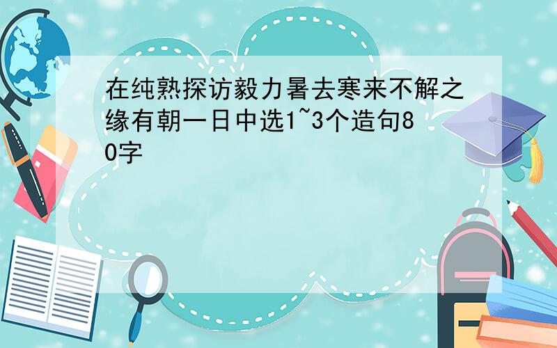 在纯熟探访毅力暑去寒来不解之缘有朝一日中选1~3个造句80字