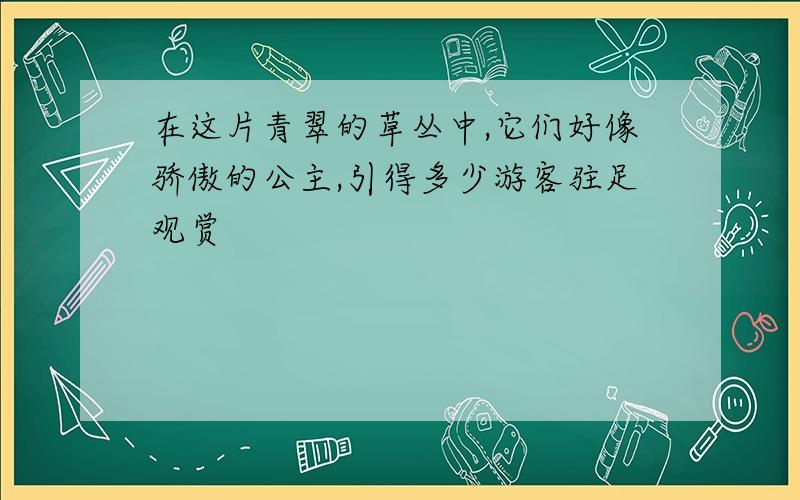 在这片青翠的草丛中,它们好像骄傲的公主,引得多少游客驻足观赏