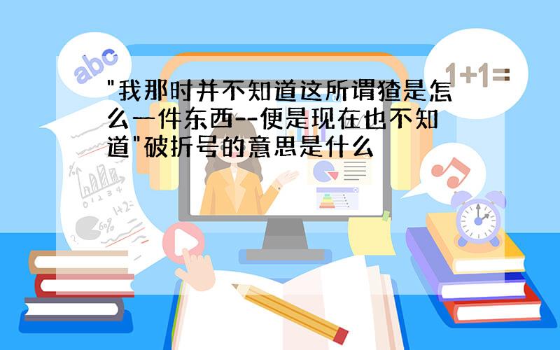 "我那时并不知道这所谓猹是怎么一件东西--便是现在也不知道"破折号的意思是什么