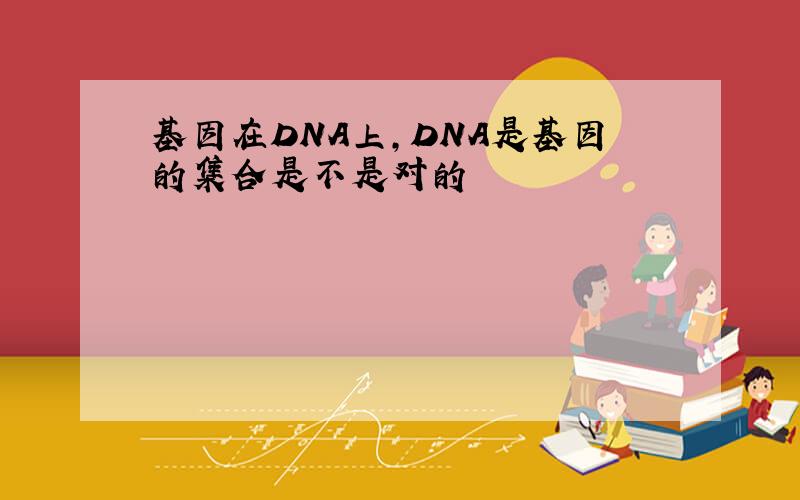 基因在DNA上,DNA是基因的集合是不是对的