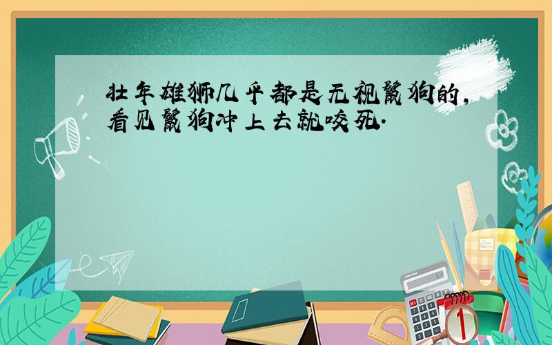 壮年雄狮几乎都是无视鬣狗的,看见鬣狗冲上去就咬死.