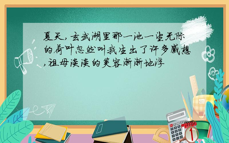 夏天,玄武湖里那一池一望无际的荷叶忽然叫我生出了许多感想,祖母淡淡的笑容渐渐地浮