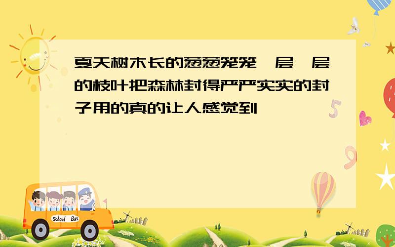 夏天树木长的葱葱笼笼一层一层的枝叶把森林封得严严实实的封子用的真的让人感觉到