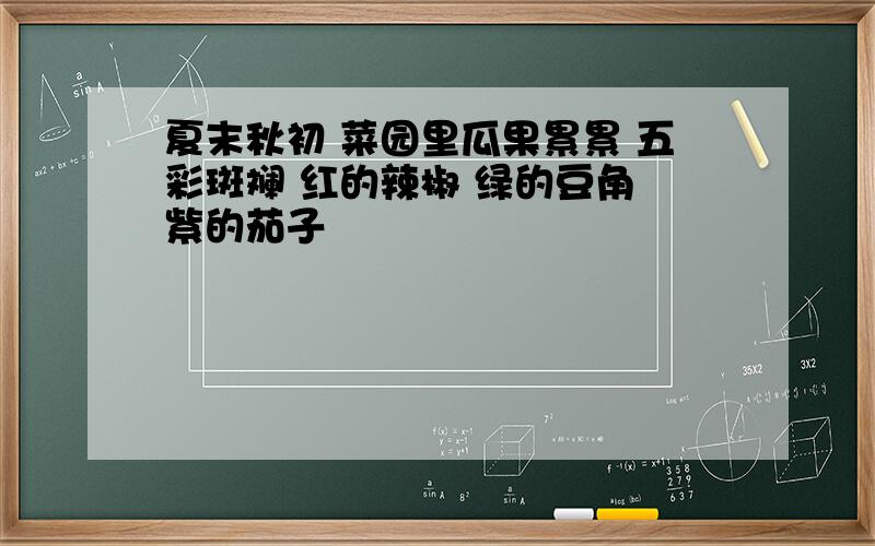 夏末秋初 菜园里瓜果累累 五彩斑斓 红的辣椒 绿的豆角 紫的茄子