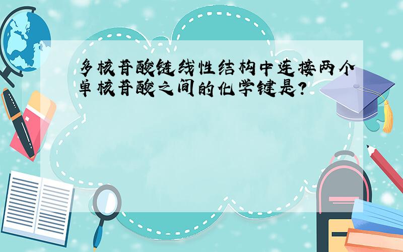 多核苷酸链线性结构中连接两个单核苷酸之间的化学键是?