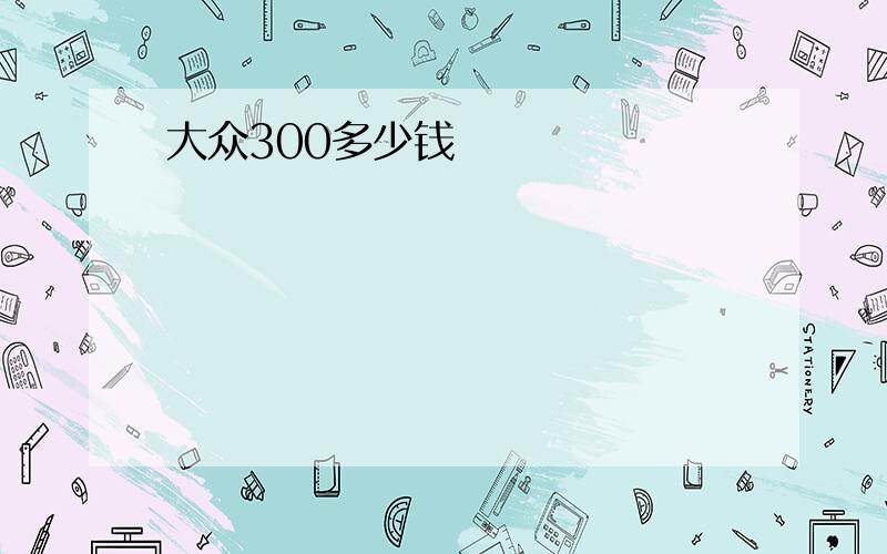 大众300多少钱