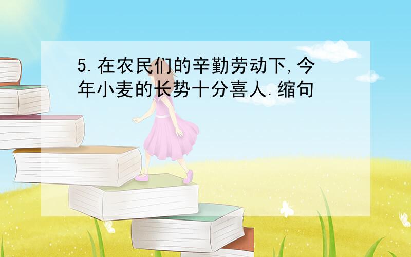 5.在农民们的辛勤劳动下,今年小麦的长势十分喜人.缩句